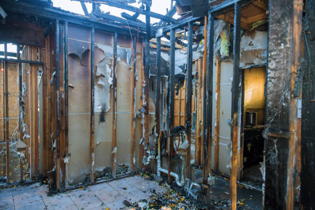 Professional Fire Damage Removal technician working in Snoqualmie, WA