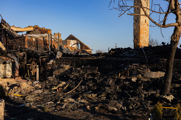 Reliable Fire Damage Removal contractor in Snoqualmie, WA by Fire Damage Doption