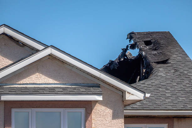 Top rated local Fire Damage Removal specialists in Snoqualmie, WA